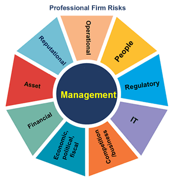 Professional Firm Risks